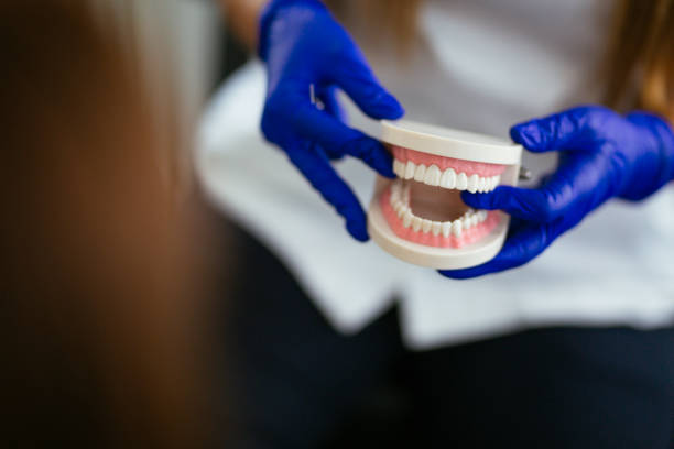 Best Dental Bonding  in Feasterville, PA